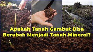 Penjelasan Gambut! Apakah Tanah Gambut Bisa Berubah Menjadi Tanah Mineral