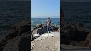 DOĞUŞTAN AVCI