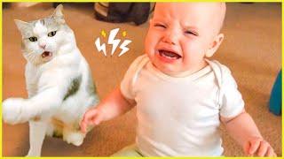 Funniest Baby Videos of the Week - Ultimate Try Not To Laugh Challenge - Part 8