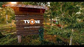TV ONE NEWS II 22 JUNE 2025