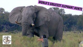 World's Greatest Elephant Hunts