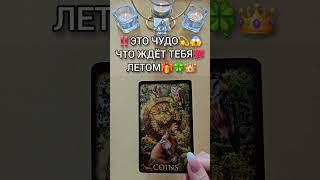 ОБАЛДЕТЬ ЧТО ЖДЕТ ТЕБЯ ЛЕТОМТаро раскладгадание онлайн  #таро #tarot #таролог #онлайгадание