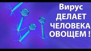 Вот как выглядит самый ужасный вирус на планете !