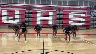 Westwood Cheer - Meg Thee Stallion Dance! 