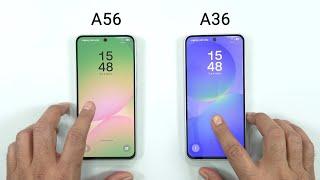 Samsung A56 vs Samsung A36 - SPEED TEST