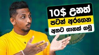 How to Earn Money Online Sinhala | CoinRyze Trading Platform #coinryze#project#team