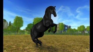 SSO/StarStable/Баг с Эпоной/Покупка липпицианской лошади!