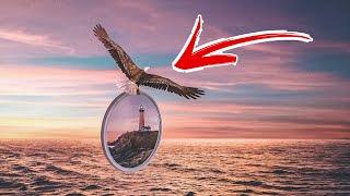 The Making of Photo-Manipulation: Eagle's mirror | Photoshop Compositing Tutorial 2020 Speedediting