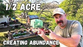 Creating Abundance on Our Half Acre Homestead