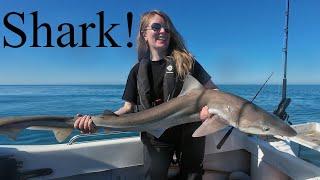 Anglesey Sharkin’ - The Hunt Goes on! - Warrior 165 Small Boat Sea Fishing