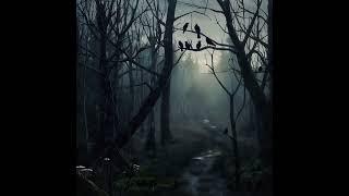 "Nightfall in the Haunted Forest | Silent Crows Watching"#DarkForest #CreepyWoods #HauntedNight