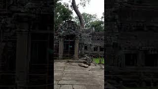 This is just the beginning.. temple is 1000 times bigger than what you are seeing.. Ta prohm temple