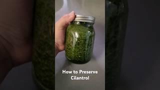 Keep Cilantro Fresh Longer! Learn a simple trick to preserve cilantro and keep it fresh for weeks!