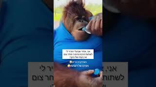 עצוב לי בלי הקפה שלי מצחיק זה בריא הרשמו בחינם לערוץ