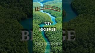 Why there is No Bridge Over Amazon River?#ytshorts