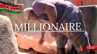 How Pig  Farming Is Making Kenyans Millionares,BEGINNERS Must watch.