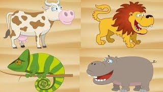 Baby tv channel  Baby tv Monkey Oliver Learning animals name and sound