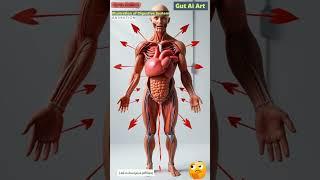 Digestive System Animation | Gut AI Art | 247