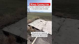 Туалет за 200 миллионов тенге 