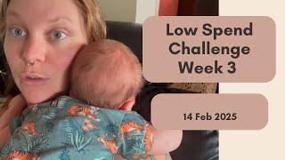 Low Spend Grocery Challenge - Week 3 - February 2025