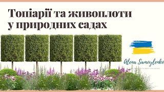 Топіарії, шпалерні дерева та живоплоти у природних садах. Баланс формальності та неформальності.