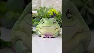 本物のカエルはどれでしょう？ #カエル #爬虫類 #animals #frog
