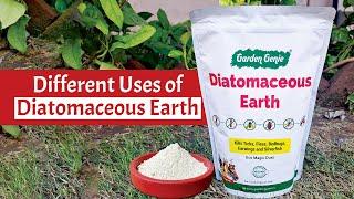 Diatomaceous Earth Eco Magic Dust | Garden Genie