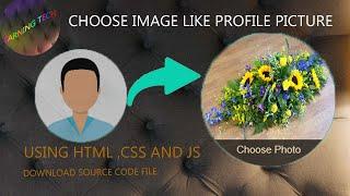 Custom File Input Like Facebook Update Profile Picture | Custom input in using html css and js