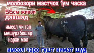 МОБОЗОРИ НОХИЯИ МАСТЧОХ