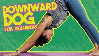 How to do Downward Dog  Downward-facing Dog Pose for Beginners