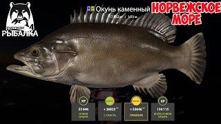 КАМЕННЫЙ ОКУНЬ НА 30 БАНКЕ НОРВЕЖСКОЕ МОРЕ В РУССКОЙ РЫБАЛКЕ 4 РР4