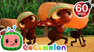 The Ants Go Marching | @CoComelon | Kids Songs | Nursery Rhymes | Sleep Baby Songs