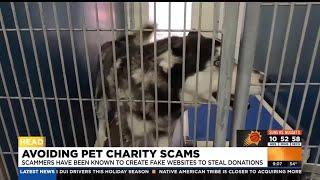 Scammers creating fake pet charity websites to steal donations