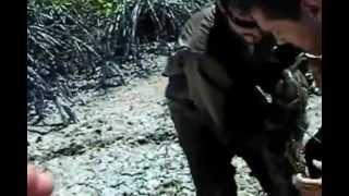 Huge 17-Foot Burmese Python Captured in Florida Everglades (Video of Capture)