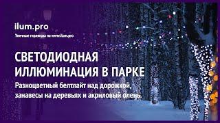 Новогодняя подсветка дорожки белтлайтом, акриловый олень и подсветка деревьев гирляндами / Айлюм Про