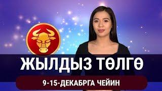 Жылдыз төлгө. 9-15-декабрга чейин