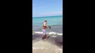Man catches nurse shark with his hand where we were going to go into the water... At Juno Beach....