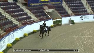 89 ZARAGOSA Catherine Pasmore, Class 201 Open Jumper Speed, III