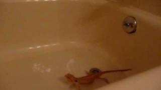 carl in the tub part 1