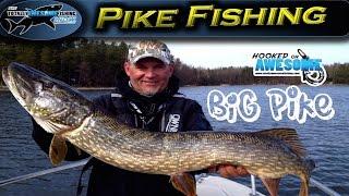 Insane!! Pike Fishing with Lures ft. Kanalgratis.se | TAFishing