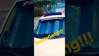 BeetleGang#beetle #volkswagenbeetle #volkswagen @VolkswagenMexico @volkswagen #trending #youtube
