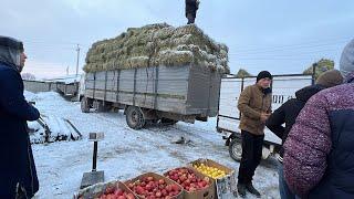 МОЛБОЗОРИ ФРУНЗА КАХРАМОН НАРХИ ГОВУ ГУСФАНД БУКА ГНОЖИН ШАНБЕБОЗОР 13 ФЕВРАЛЯ 2023