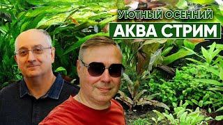 Уютный, осенний аква стрим С Александром Ершовым