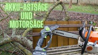 Ast absägen, Test LUX-TOOLS A-EAS-20/156 Akku-Astsäge, Stihl MS 271 Motorsäge