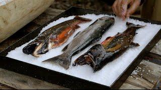 How To Cook Lake Trout In "Little Hell" With Francis Mallmann and Ed Lee