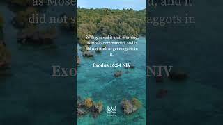 Biblescape ( Exodus 16 : 24 NIV)