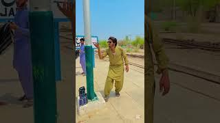 My village flower beautiful view #shorts #shortvideo #youtubeshorts #trending #viralvideo #nature