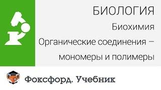 Биология. Биохимия. Органические соединения – мономеры и полимеры. Центр онлайн-обучения «Фоксфорд»