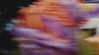 Catching Flies - Friday Lake [Official Audio]