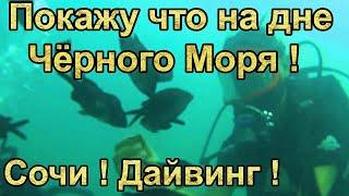 Покажу что на Дне Чёрного Моря ? Сочи ! Дайвинг !